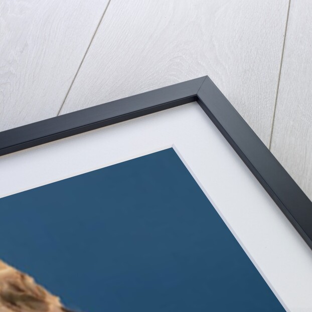 Four tools, 35000-10000 BC by Prehistoric Prehistoric