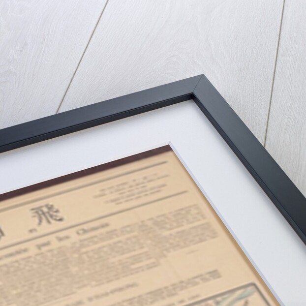 The Chinese Expedition into Tonkin by French School