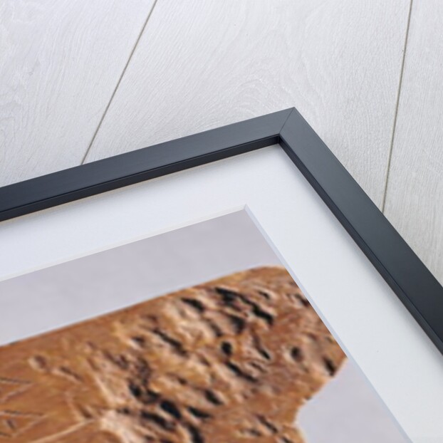 Reindeer horn carved with deer and leaping salmon by Paleolithic Paleolithic