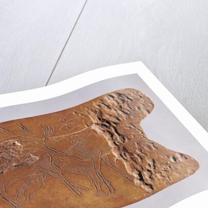 Reindeer horn carved with deer and leaping salmon by Paleolithic Paleolithic