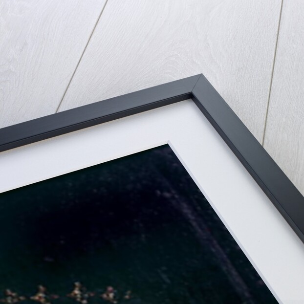 Portrait of Francois Hercule de France Duc d'Alencon by Francois Clouet