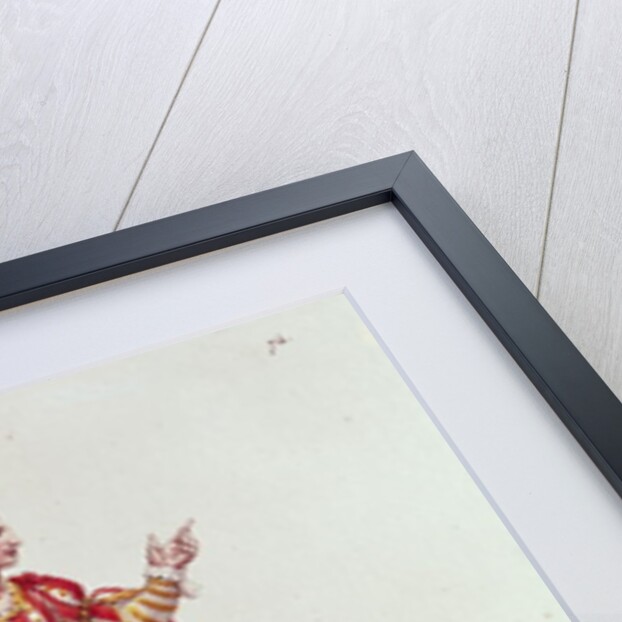 Mademoiselle Dumesnil in the Role of Agrippina in 'Britannicus' by Jean Racine engraved by Francois Seraphin Delpech 1740 by Hippolyte (after) Lecomte