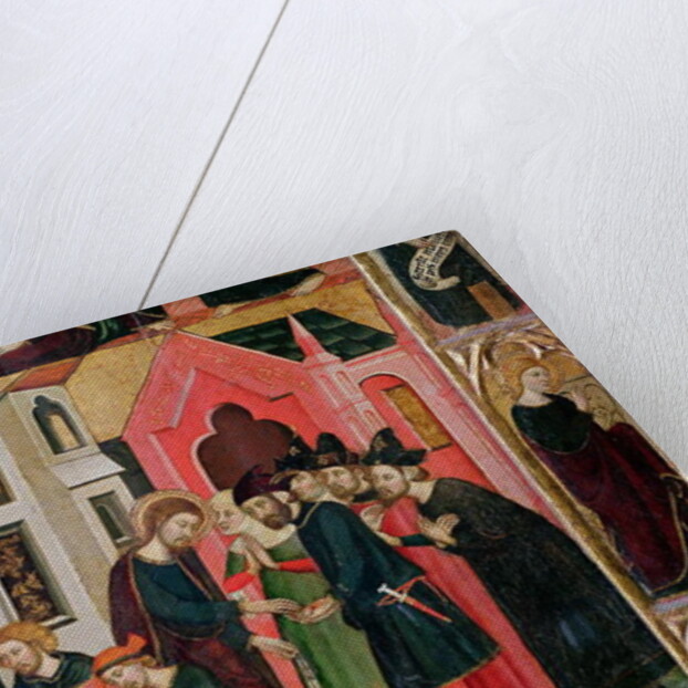 The Altarpiece of SS. Mark and Ania by Arnau Bassa