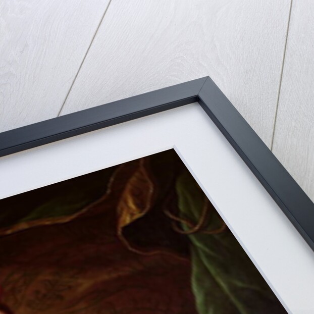 Mademoiselle Dumesnil by Donat Nonotte