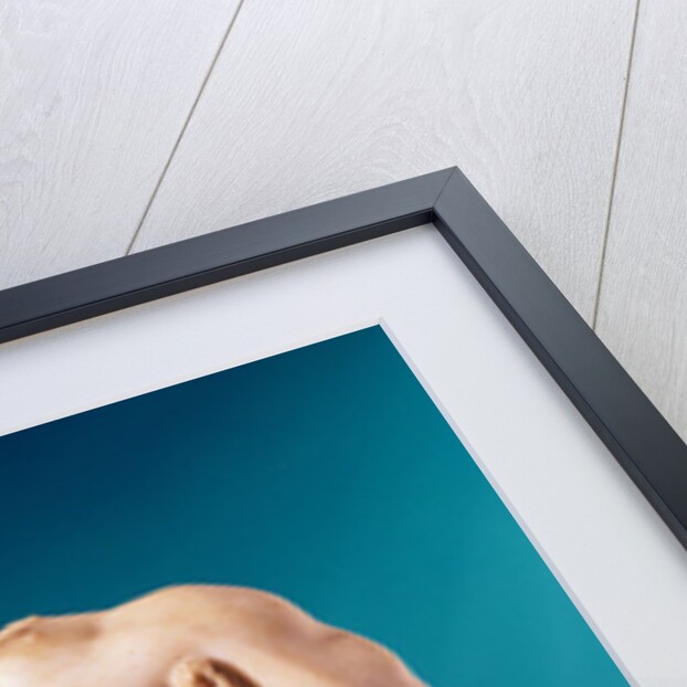 Statue of Hercules, copy of a Greek original by Roman