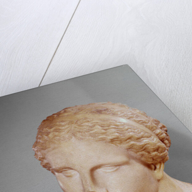 Venus of Martres, Roman copy of a Greek original by Praxiteles (after)