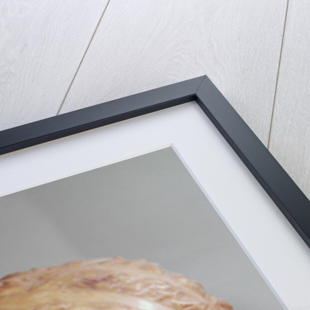 Venus of Martres, Roman copy of a Greek original by Praxiteles (after)