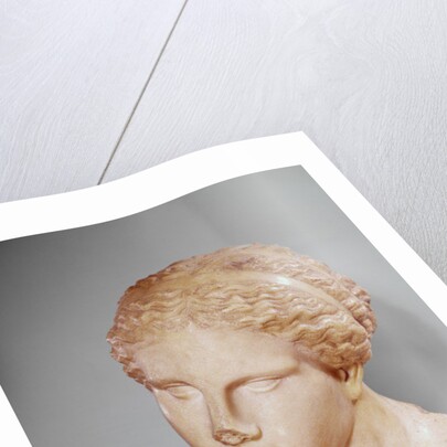 Venus of Martres, Roman copy of a Greek original by Praxiteles (after)