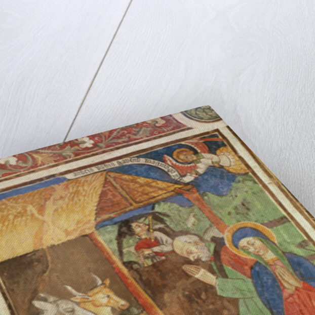 The Nativity, c.1480 by Giovanni Baleison