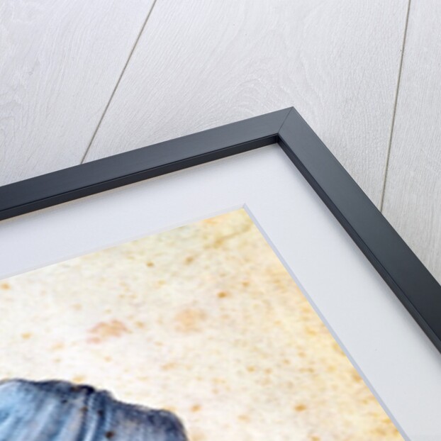 Study of a lily, 1526 by Albrecht Dürer or Duerer