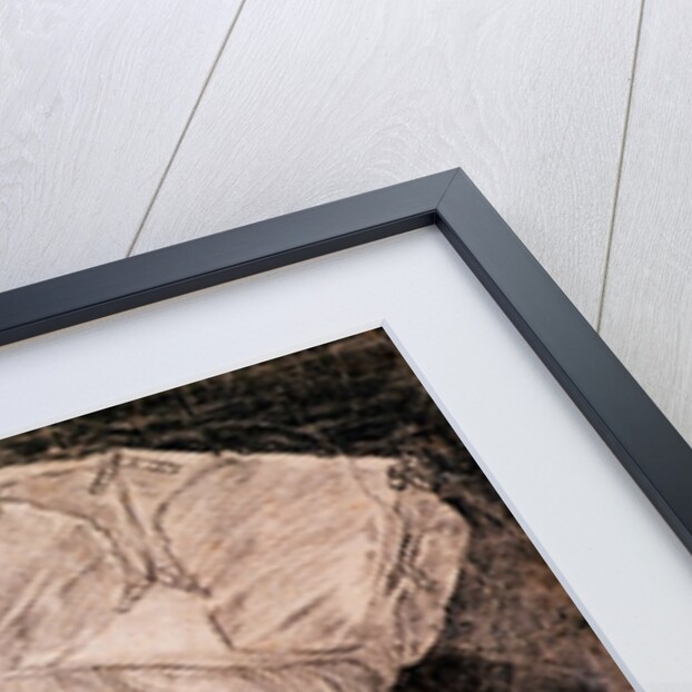 Portrait of a Man by Albrecht Dürer or Duerer