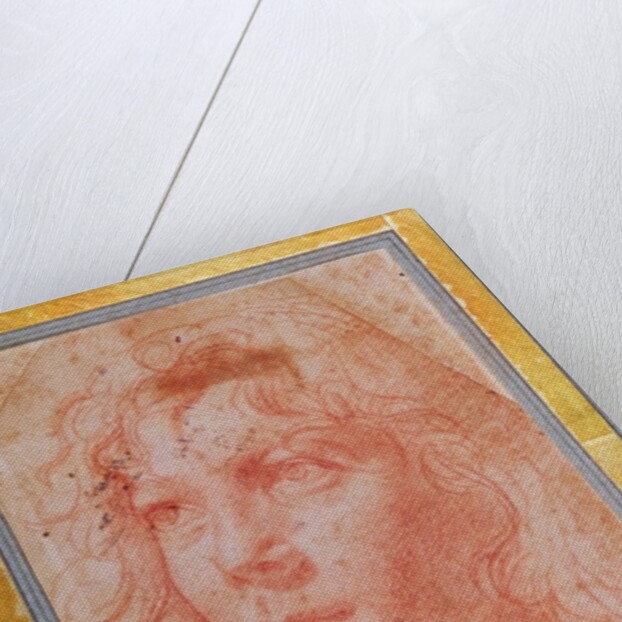 Head of a young boy turned to the left by Polidoro da Caravaggio