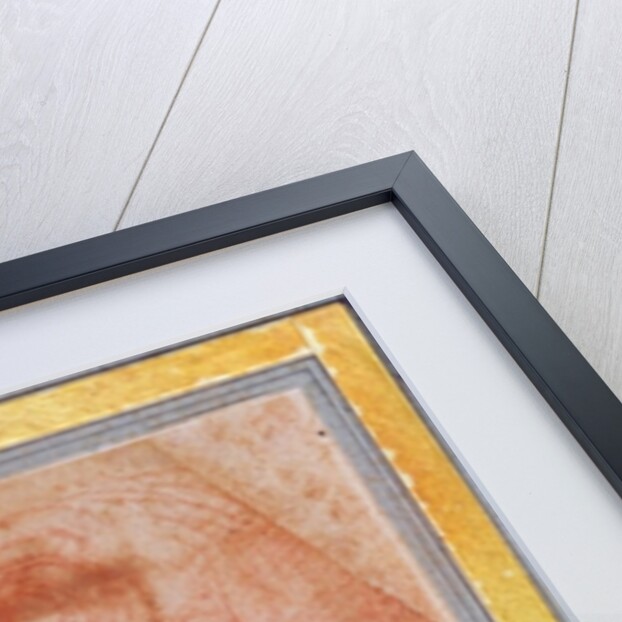 Head of a young boy turned to the left by Polidoro da Caravaggio
