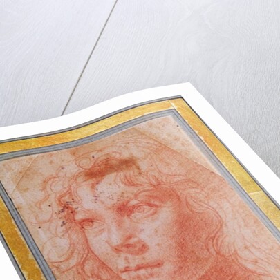 Head of a young boy turned to the left by Polidoro da Caravaggio