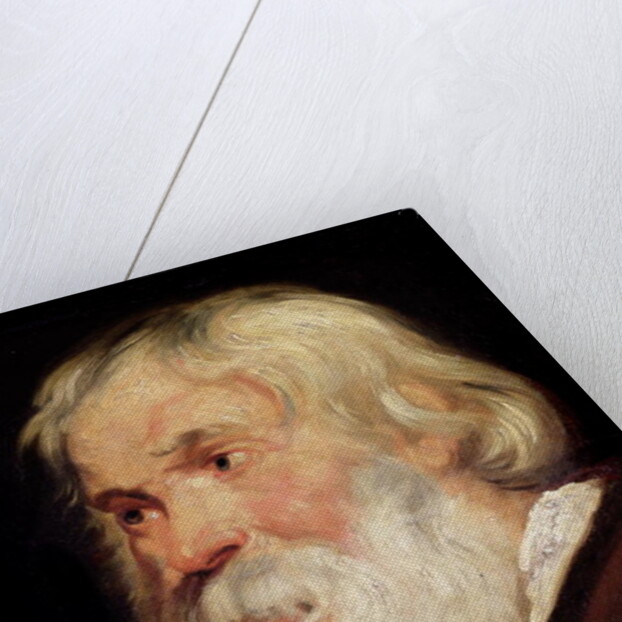 Head of an Old Man by Peter Paul Rubens