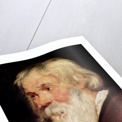 Head of an Old Man by Peter Paul Rubens