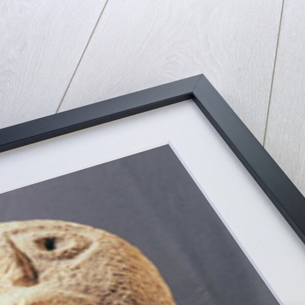 Sculpture no.43, from Lepenski Vir, Yugoslavia, c.6000 BC by Prehistoric Prehistoric