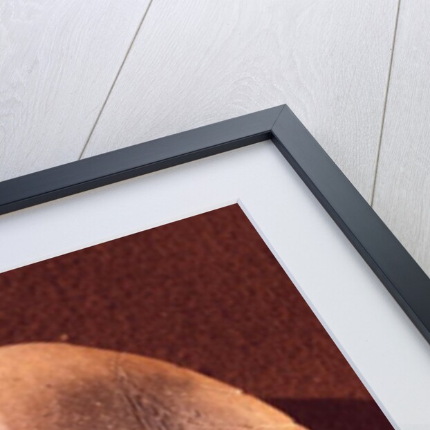 Stylised head, from Predionica, Late Vinca Culture, c.4500-4000 BC by Prehistoric Prehistoric