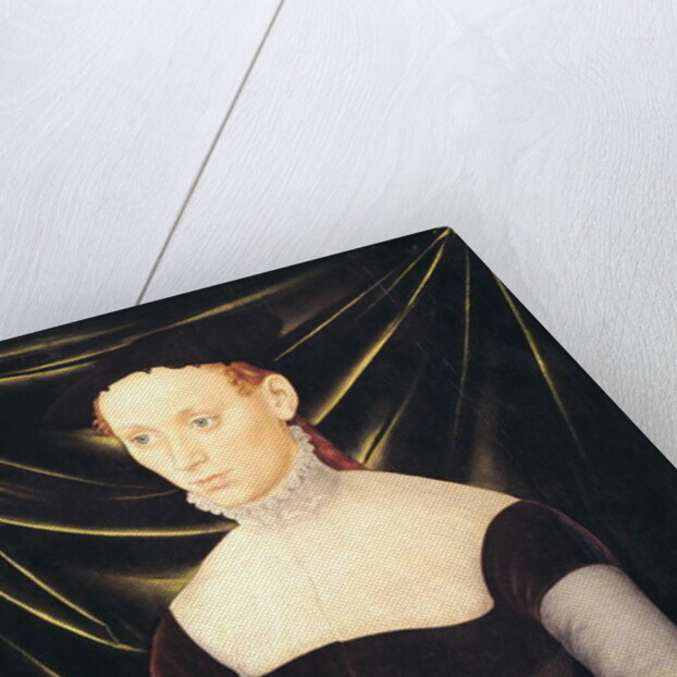 Woman with a Carnation by Lucas the Elder Cranach