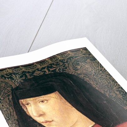 A Patrician by Italian School