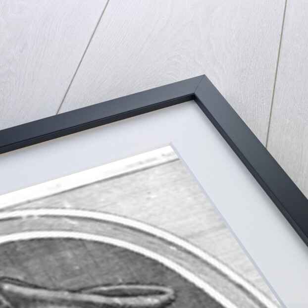 Portrait of Jean du Bellay by French School