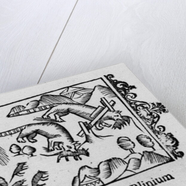 Migration of lemmings by Italian School