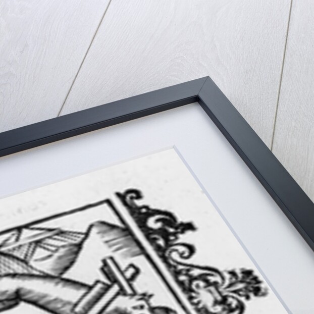 Migration of lemmings by Italian School