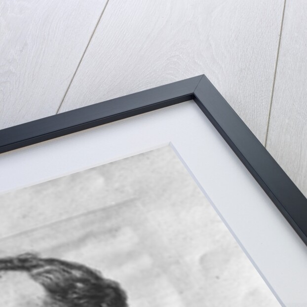 Portrait of Jules Ferry engraved by J. Robert from a photograph by M. Thiebault by Achille-Isidore (after) Gilbert