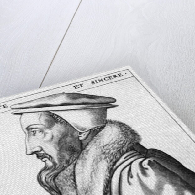 Portrait of John Calvin aged 53, 1564 by French School