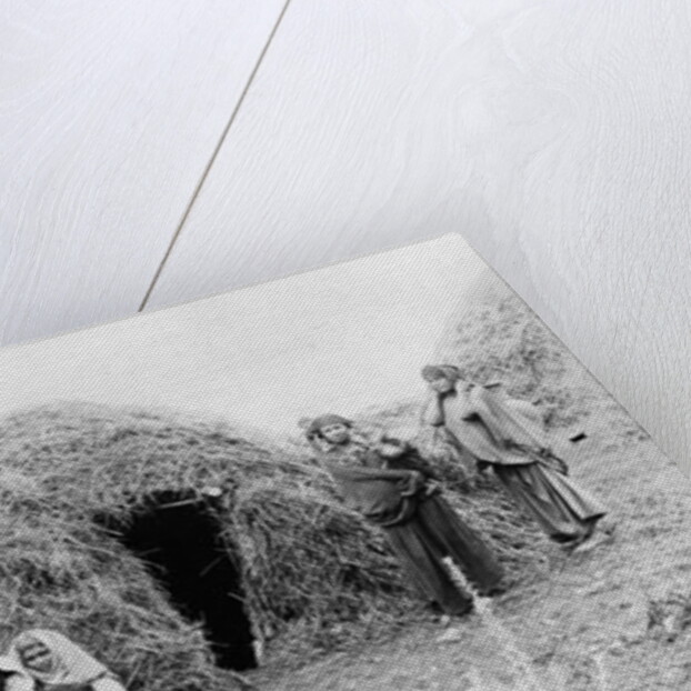 Berber village near Tunis, c.1900 by French Photographer