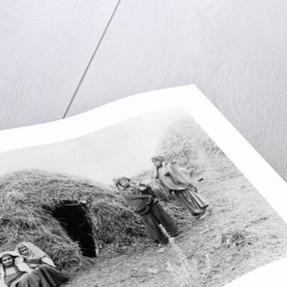 Berber village near Tunis, c.1900 by French Photographer