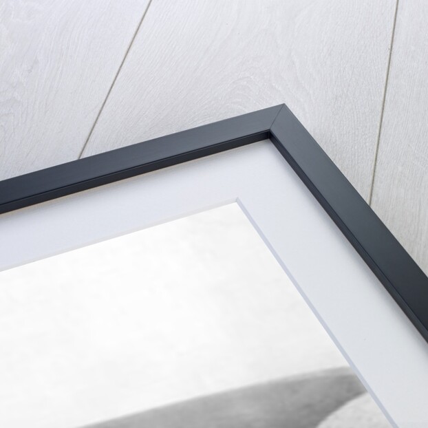 Kaffir Huts, South Africa, c.1914 by French Photographer