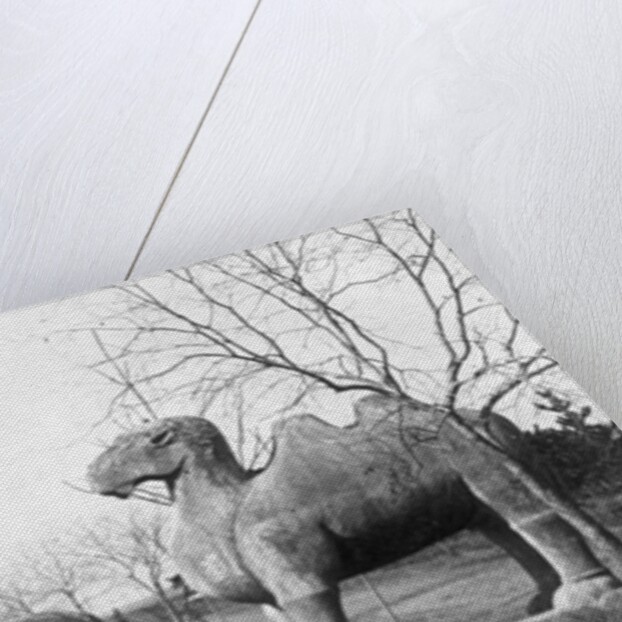 Sacred path to the tomb of the Ming Emperor Hongwu at Nanjing, China by French Photographer