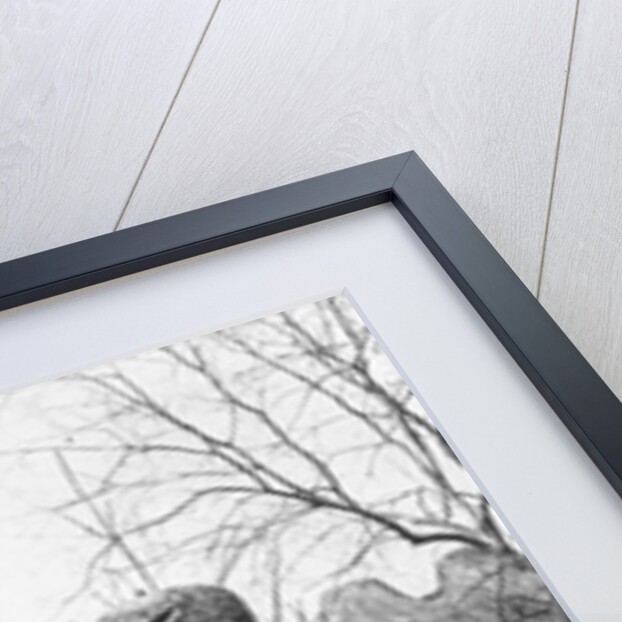 Sacred path to the tomb of the Ming Emperor Hongwu at Nanjing, China by French Photographer
