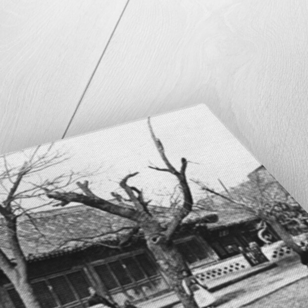 Imperial Observatory at Peking, China, c.1900 by French Photographer