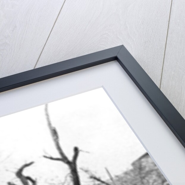 Imperial Observatory at Peking, China, c.1900 by French Photographer