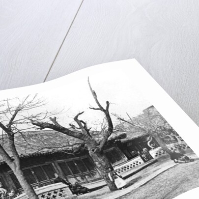 Imperial Observatory at Peking, China, c.1900 by French Photographer