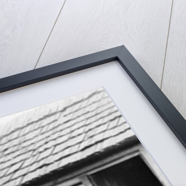Log cabins in Thomasville, Florida, c.1900 by American Photographer