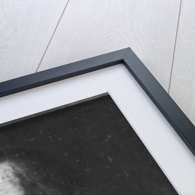 Portrait of Christopher Columbus by School Spanish