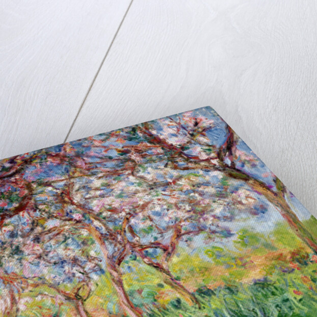 Springtime in Giverny, 1903 by Claude Monet