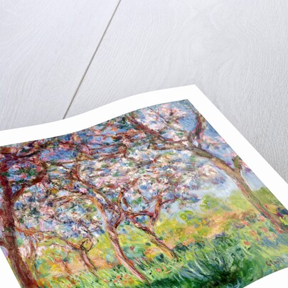 Springtime in Giverny, 1903 by Claude Monet