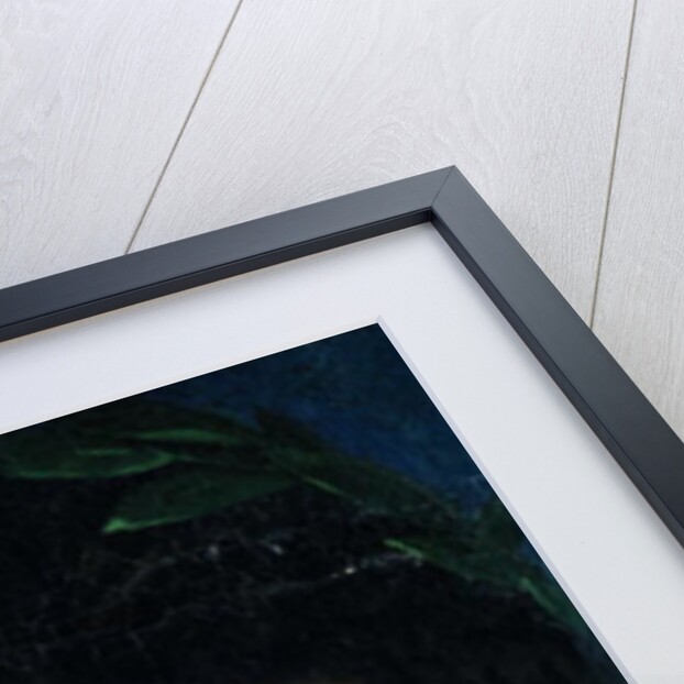 Head of Jupiter, study for Jupiter and Thetis, 1810 by Jean Auguste Dominique Ingres