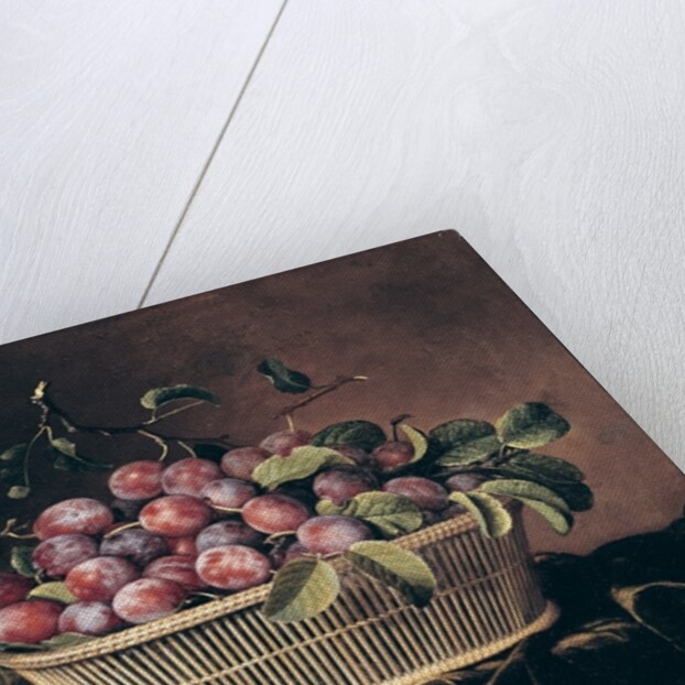 Basket of Plums by Pierre Dupuis