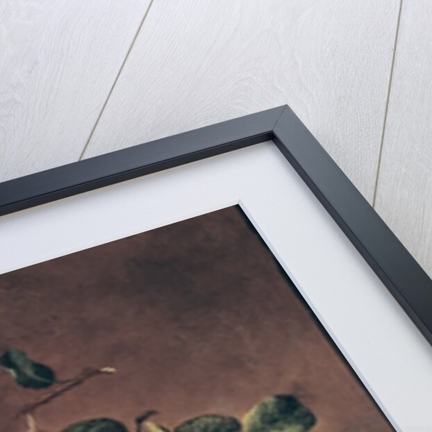 Basket of Plums by Pierre Dupuis