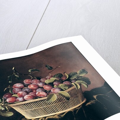 Basket of Plums by Pierre Dupuis