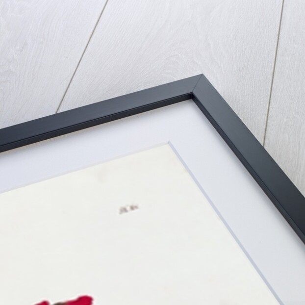 Marriage by the Book, caricature from 'Les Metamorphoses du Jour' series by Grandville