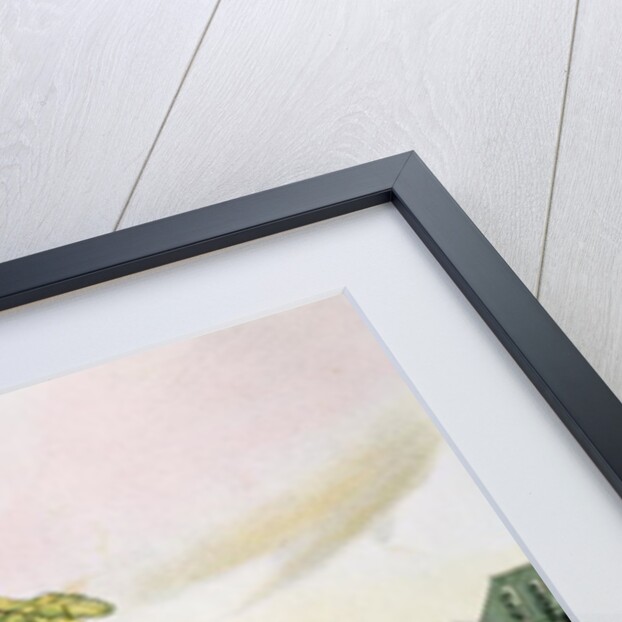 Meeting between the Expedition Party of Otto von Kotzebue and King Kamehameha I Ovayhi Island by Ludwig Choris