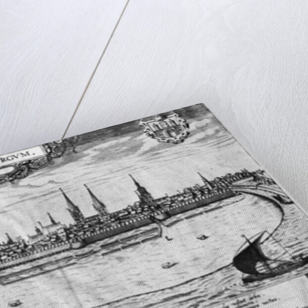 View of Hamburg by Peter van der Doort