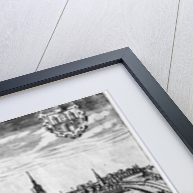 View of Hamburg by Peter van der Doort