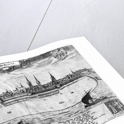 View of Hamburg by Peter van der Doort